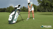 rollwave cardenas GIF by GreenWave