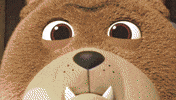 Hungry Football GIF by HangryPetz