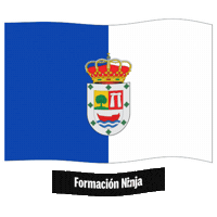 Flag Spain Sticker by Formación Ninja