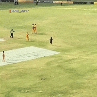 Babar Azam Goat GIF