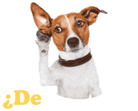 Dog Walk Sticker by Luna Pets