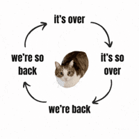 Its Over Spinning GIF