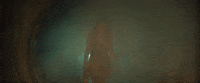 Music Video Art GIF by Taylor Swift
