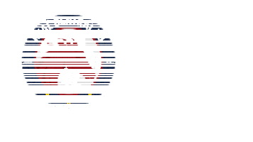 New Jersey League Sticker by USL