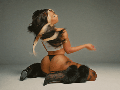 GIF by Megan Thee Stallion