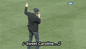 Red Sox Baseball GIF