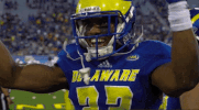ncaa sports sport GIF by Delaware Blue Hens