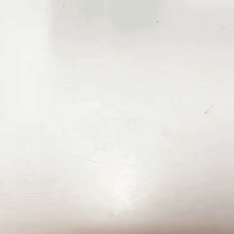 AshleyHanger giphyupload GIF