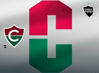Serie C Flu GIF