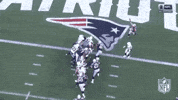 2018 Nfl Football GIF by NFL