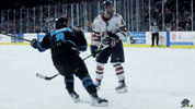 Happy Bow And Arrow GIF by Quad City Storm