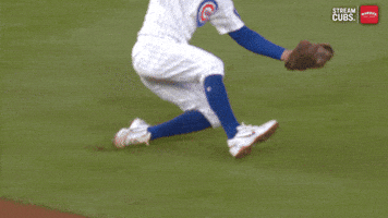 Chicago Cubs Baseball GIF