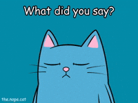 Confused Question GIF