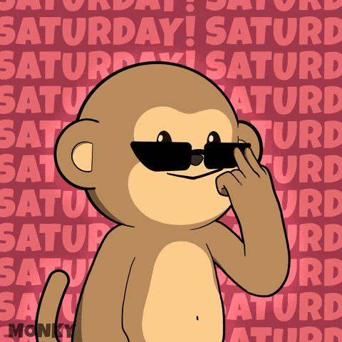 Coffee Work GIF by Wise Monkey Meme