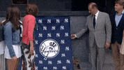 Yankee Stadium Sport GIF by YES Network