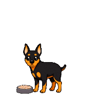 いただきます Miniature Pinscher Sticker by zidama