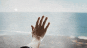 modern family love GIF by ABC Network