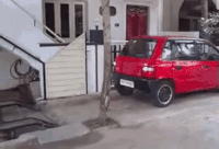 GIF by Demic