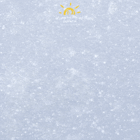 Rbc GIF by Chapel Hill-Chauncy Hall School