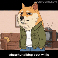 Shiba Inu What GIF by Doge Pound