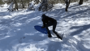 snow fail GIF by Display Name