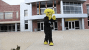 Wu_Shock dancing mascot wu wsu GIF