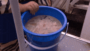 Kitty Prank GIF by Hollyoaks