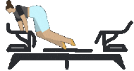 Fitness Pilates Sticker by MegaBurnPDX