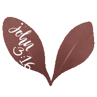 John 316 Sticker