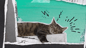 manifesto fÃ©rias GIF by Telecine