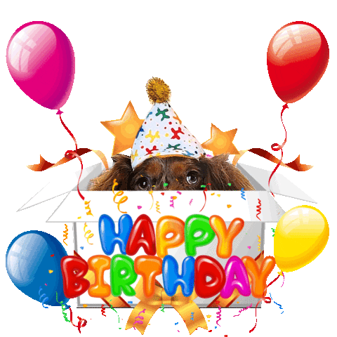 Happy Birthday Sticker by Pimp Yo Pets