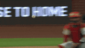 Home Run Baseball GIF by Toronto Blue Jays