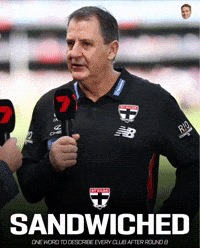 St Kilda Saints 7Afl GIF
