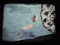Jellys Groove GIF by KPISS.FM