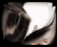Fairy Tale Street GIF by Alex Boya