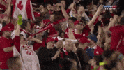 canadian yes GIF by Houston Dash