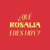 Quien Eres Yas GIF by Mediaset España