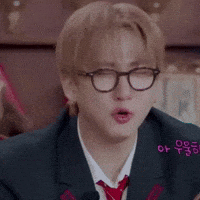 Stray Kids Skz GIF