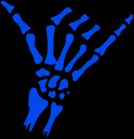 Marshlands bjj shaka zwolle brazilian jiu jitsu GIF