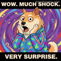 No Way Wow GIF by Doge Pound