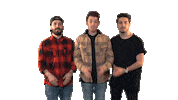 cash cash thank you Sticker by Big Beat Records