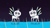 eat me lol GIF by Lior Shkedi