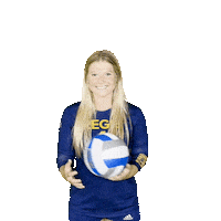 RegisVolleyball volleyball skala bre regis Sticker