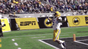 College Sports Sport GIF by LSU Tigers