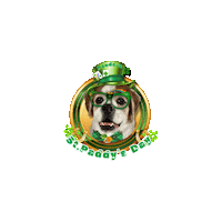 St Patricks Day Irish Sticker by Pimp Yo Pets