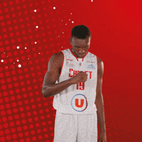 Jeep Elite Sport GIF by Cholet Basket