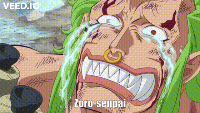 kaviru97 giphyupload one piece zoro usopp GIF