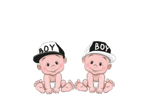 Twins Sticker