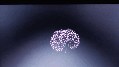 zexu_knub giphygifmaker giphygifmakermobile GIF