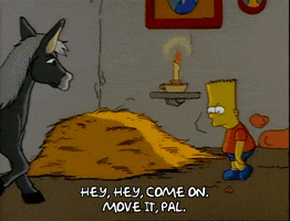 Season 1 Horse GIF by The Simpsons